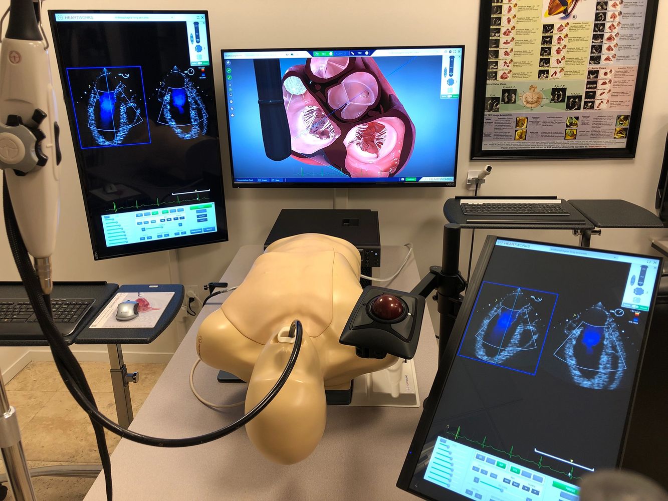 Echocardiography Simulation Training Laboratory